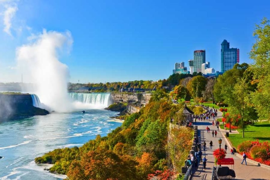 Toronto to Niagara Falls Half Day Private Tour (Up to 6 People)